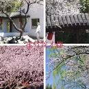 北京旅游 缩略图 8