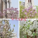 北京旅游 缩略图 11