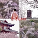 北京旅游 缩略图 13