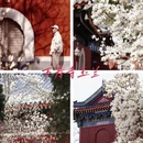 北京旅游 缩略图 16