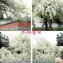 北京旅游 缩略图 17