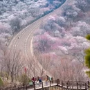 北京旅游 缩略图 6