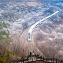 北京旅游 缩略图 3