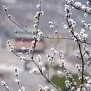 北京旅游 缩略图 9
