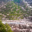 北京旅游 缩略图 5