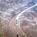 北京旅游 缩略图 7