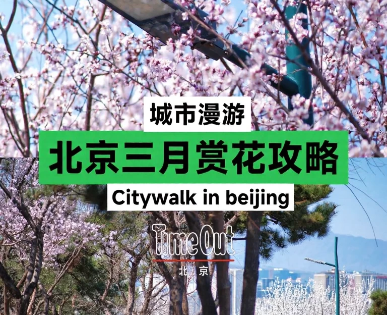 北京旅游 1