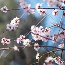 北京旅游 缩略图 4