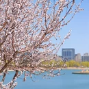 北京旅游 缩略图 7
