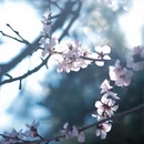 北京旅游 缩略图 9