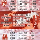北京旅游 缩略图 2