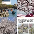 北京旅游 缩略图 9