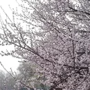 北京旅游 缩略图 1
