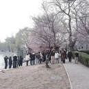 北京旅游 缩略图 2