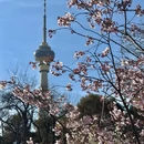 北京旅游 缩略图 8
