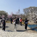北京旅游 缩略图 1