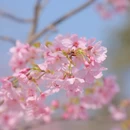 北京旅游 缩略图 3