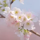 北京旅游 缩略图 6