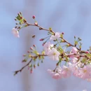 北京旅游 缩略图 2