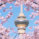 北京旅游 缩略图 1