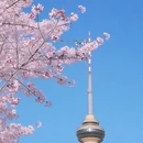 北京旅游 缩略图 2