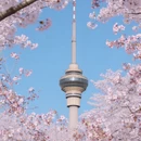 北京旅游 缩略图 3