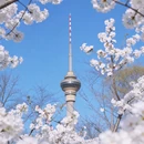 北京旅游 缩略图 4