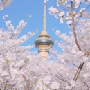 北京旅游 缩略图 5