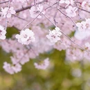 北京旅游 缩略图 7
