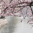 北京旅游 缩略图 4