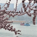 北京旅游 缩略图 5