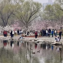 北京旅游 缩略图 1