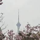 北京旅游 缩略图 2