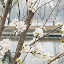 北京旅游 缩略图 11