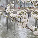 北京旅游 缩略图 10