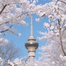 北京旅游 缩略图 6