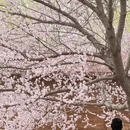 北京旅游 缩略图 8