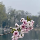北京旅游 缩略图 12