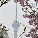 北京旅游 缩略图 15
