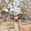 北京旅游 缩略图 7