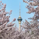 北京旅游 缩略图 1