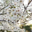 北京旅游 缩略图 4