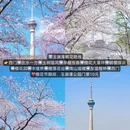 北京旅游 缩略图 7