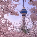 北京旅游 缩略图 2