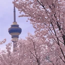 北京旅游 缩略图 5