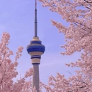 北京旅游 缩略图 8