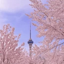 北京旅游 缩略图 7