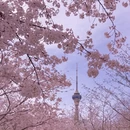 北京旅游 缩略图 10