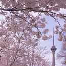 北京旅游 缩略图 13
