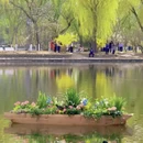 北京旅游 缩略图 12
